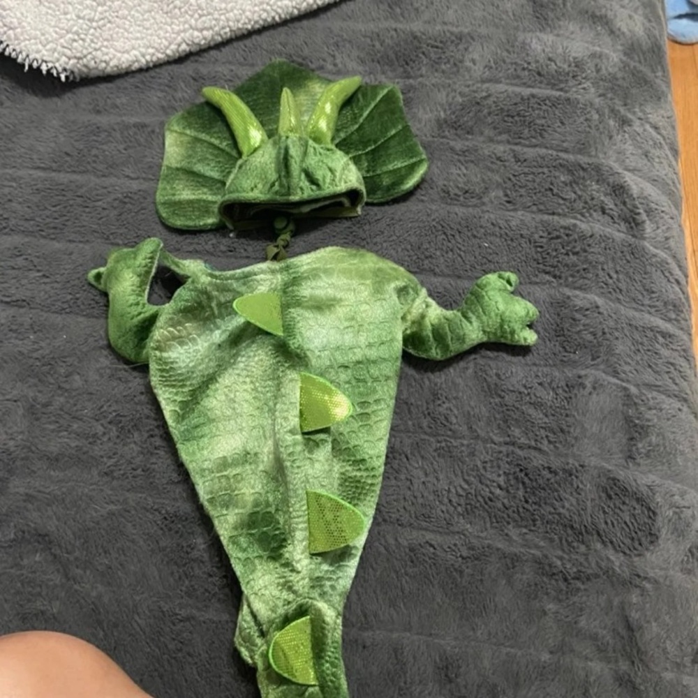 Dog clothes